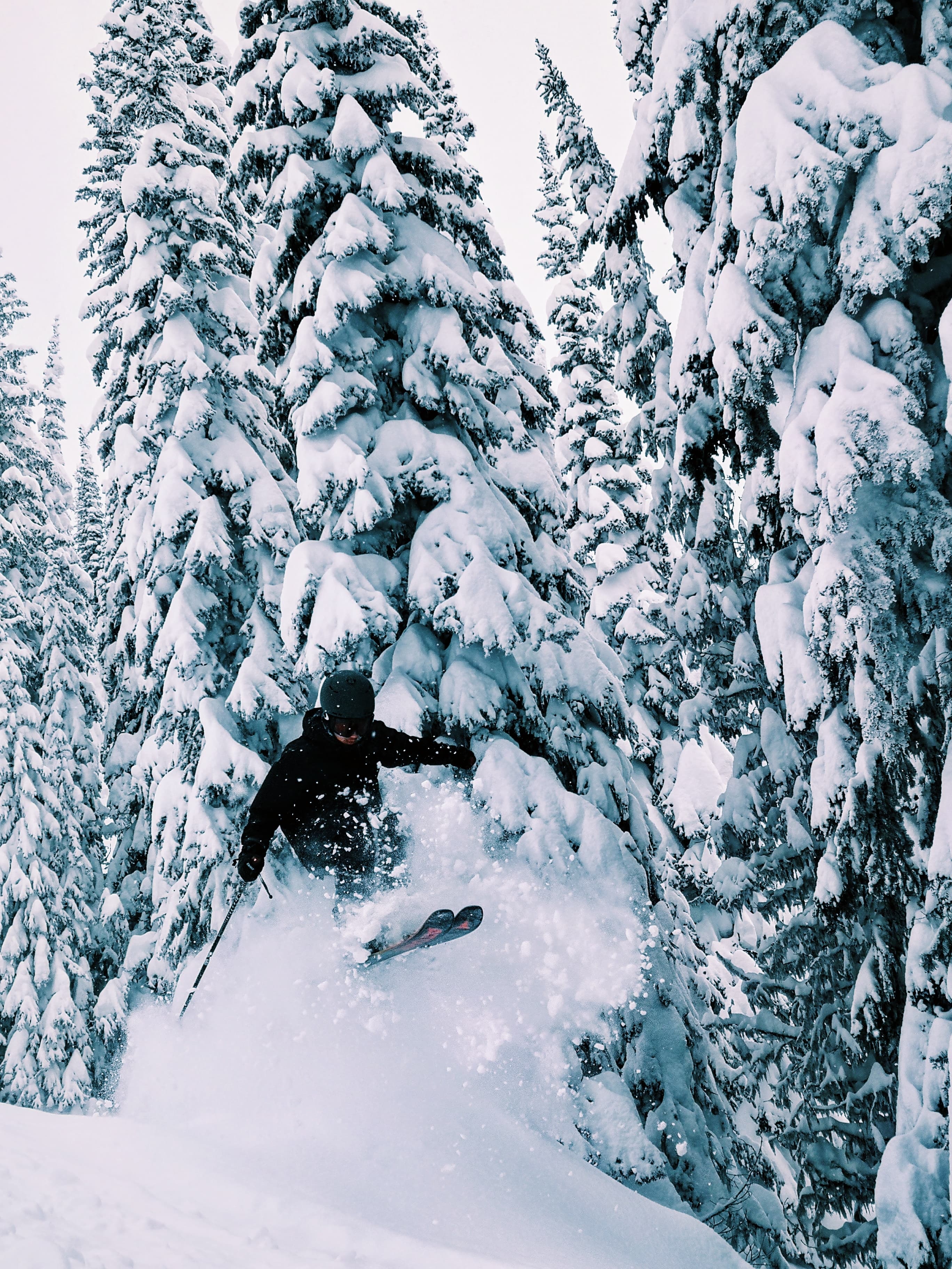 An explosive powder day