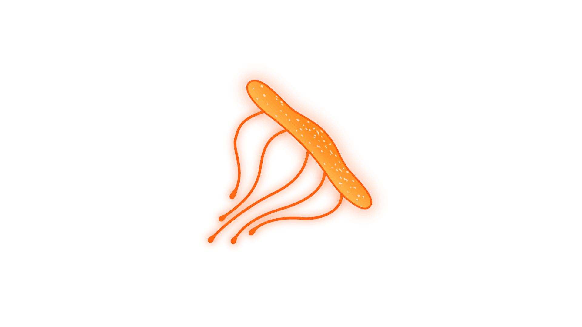 Orange Jellyfish
